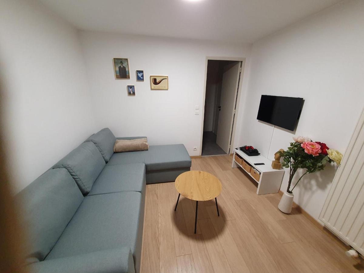 Spacious Apartment With Sea View Οστένδη Εξωτερικό φωτογραφία